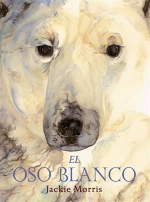 OSO BLANCO, EL | 9788489825741 | MORRIS, JACKIE | Galatea Llibres | Llibreria online de Reus, Tarragona | Comprar llibres en català i castellà online