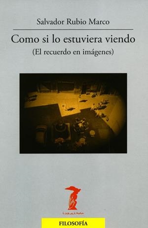 COMO SI LO ESTUVIERA VIENDO | 9788477749349 | RUBIO MARCO, SALVADOR | Galatea Llibres | Librería online de Reus, Tarragona | Comprar libros en catalán y castellano online