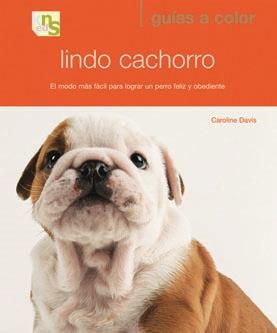 LINDO CACHORRO | 9788493662646 | DAVIS, CAROLINE | Galatea Llibres | Llibreria online de Reus, Tarragona | Comprar llibres en català i castellà online