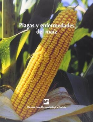 PLAGAS Y ENFERMEDADES DEL MAIZ | 9788484761624 | JUAN, CARLOS DE ,   TR. | Galatea Llibres | Librería online de Reus, Tarragona | Comprar libros en catalán y castellano online