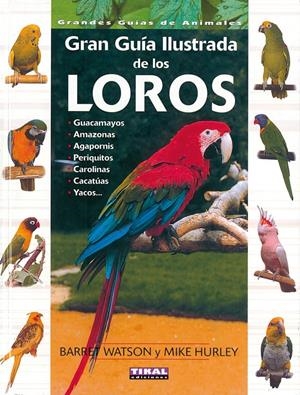 GRAN GUIA ILUSTRADA DE LOS LOROS | 9788430536900 | WATSON, BARRETT | Galatea Llibres | Llibreria online de Reus, Tarragona | Comprar llibres en català i castellà online
