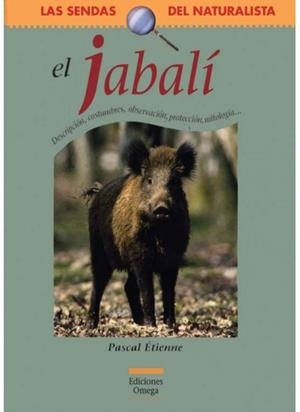JABALI, EL | 9788428213929 | ETIENNE, PASCAL | Galatea Llibres | Librería online de Reus, Tarragona | Comprar libros en catalán y castellano online
