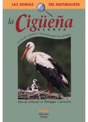 CIGUEÑA BLANCA, LA | 9788428213592 | ETIENNE, PASCAL : CARRUETTE, PHILIPPE | Galatea Llibres | Librería online de Reus, Tarragona | Comprar libros en catalán y castellano online