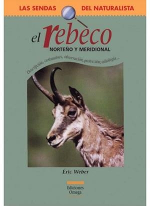 REBECO NORTEÑO Y MERIDIONAL, EL | 9788428213233 | WEBER, ERIC | Galatea Llibres | Librería online de Reus, Tarragona | Comprar libros en catalán y castellano online