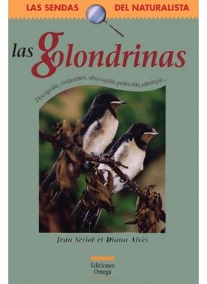GOLONDRINAS, LAS | 9788428213585 | SERIOT, JEAN : ALVES, DIANA | Galatea Llibres | Librería online de Reus, Tarragona | Comprar libros en catalán y castellano online