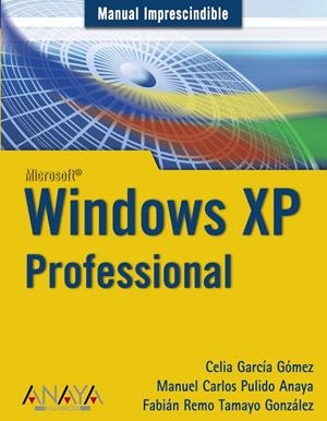WINDOWS XP PROFESSIONAL | 9788441520424 | GARCIA GOMEZ, CELIA | Galatea Llibres | Llibreria online de Reus, Tarragona | Comprar llibres en català i castellà online