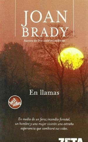 EN LLAMAS | 9788496581098 | BRADY, JOAN | Galatea Llibres | Librería online de Reus, Tarragona | Comprar libros en catalán y castellano online