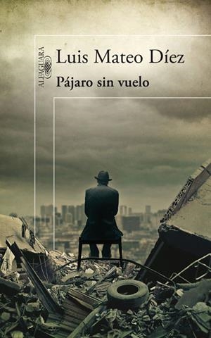 PÁJARO SIN VUELO | 9788420474984 | DÍEZ, LUIS MATEO | Galatea Llibres | Llibreria online de Reus, Tarragona | Comprar llibres en català i castellà online