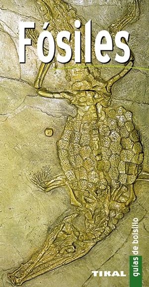 FÓSILES | 9788499281100 | VARIOS AUTORES | Galatea Llibres | Llibreria online de Reus, Tarragona | Comprar llibres en català i castellà online