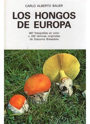 HONGOS DE EUROPA, LOS (DIP) | 9788428206662 | BAUER, CARLO ALBERTO | Galatea Llibres | Librería online de Reus, Tarragona | Comprar libros en catalán y castellano online