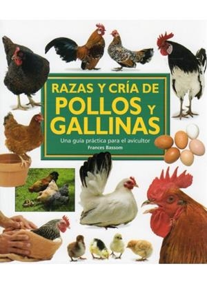 RAZAS Y CRIA DE POLLOS Y GALLINAS | 9788428215381 | BASSOM,FRANCES | Galatea Llibres | Librería online de Reus, Tarragona | Comprar libros en catalán y castellano online