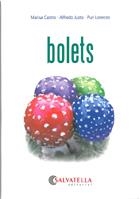 BOLETS | 9788484125600 | CASTRO, MARISA | Galatea Llibres | Librería online de Reus, Tarragona | Comprar libros en catalán y castellano online