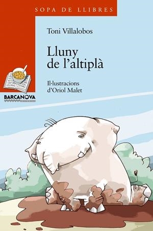 LLUNY DE L'ALTIPLA | 9788448919627 | VILLALOBOS, TONI | Galatea Llibres | Librería online de Reus, Tarragona | Comprar libros en catalán y castellano online