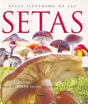 ATLAS ILUSTRADO DE LAS SETAS | 9788430547210 | LAMAISON, JEAN-LOUIS/POLESE, JEAN-MARIE | Galatea Llibres | Librería online de Reus, Tarragona | Comprar libros en catalán y castellano online