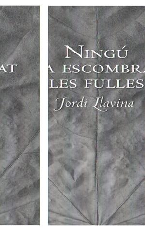 NINGU HA ESCOMBRAT LES FULLES | 9788492406197 | LLAVINA, JORDI | Galatea Llibres | Llibreria online de Reus, Tarragona | Comprar llibres en català i castellà online