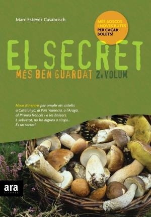 SECRET MES BEN GUARDAT VOL.2 | 9788492406272 | ESTEVEZ CASABOSCH, MARC | Galatea Llibres | Librería online de Reus, Tarragona | Comprar libros en catalán y castellano online