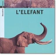 ELEFANT, L' | 9788424602734 | ARANEGA, SUSANNA | Galatea Llibres | Llibreria online de Reus, Tarragona | Comprar llibres en català i castellà online