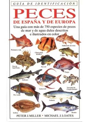 PECES DE ESPAÑA Y EUROPA.GUIA DE IDENTIFICACION | 9788428211239 | MILLER,PETER | Galatea Llibres | Llibreria online de Reus, Tarragona | Comprar llibres en català i castellà online