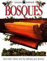 BOSQUES (DESCUBRE CÓMO SON LOS ÁRBOLES POR DENTRO) | 9788434862708 | BURNIE, DAVID | Galatea Llibres | Llibreria online de Reus, Tarragona | Comprar llibres en català i castellà online