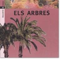 ARBRES, ELS (DESCOBRIM) | 9788424602741 | PORTELL, JOAN | Galatea Llibres | Llibreria online de Reus, Tarragona | Comprar llibres en català i castellà online