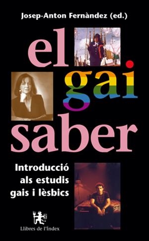 GAI SABER. INTRODUCCIO ALS ESTUDIS GAIS I LESBISCS, EL | 9788495317148 | FERNANDEZ, JOSEP-ANTON | Galatea Llibres | Llibreria online de Reus, Tarragona | Comprar llibres en català i castellà online