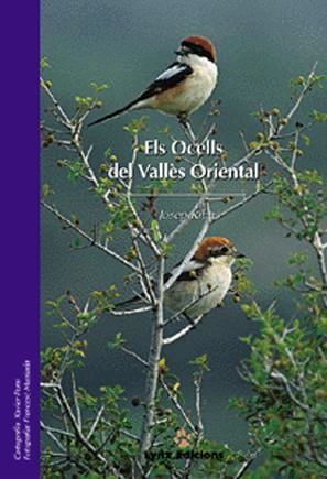 OCELLS DEL VALLES ORIENTAL, ELS | 9788487334290 | RIBAS, JOSEP | Galatea Llibres | Llibreria online de Reus, Tarragona | Comprar llibres en català i castellà online