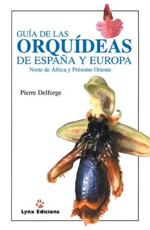 GUIA DE LAS ORQUIDEAS DE ESPAÑA Y EUROPA | 9788487334382 | DELFORGE, PIERRE | Galatea Llibres | Llibreria online de Reus, Tarragona | Comprar llibres en català i castellà online
