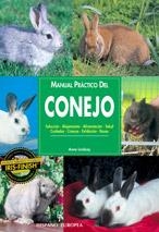 MANUAL PRACTICO DEL CONEJO | 9788425513091 | LINDSAY, ANNE | Galatea Llibres | Librería online de Reus, Tarragona | Comprar libros en catalán y castellano online