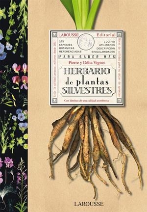HERBARIO DE PLANTAS SILVESTRES | 9788480168762 | VIGNES, PIERRE/ VIGNES, DÉLIA | Galatea Llibres | Llibreria online de Reus, Tarragona | Comprar llibres en català i castellà online