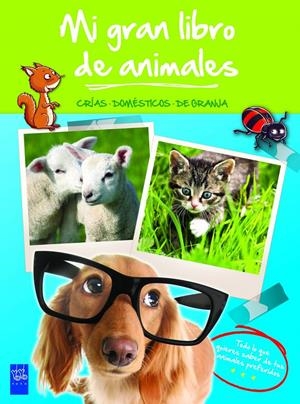 MI GRAN LIBRO DE ANIMALES VERDE | 9788408008491 | Galatea Llibres | Llibreria online de Reus, Tarragona | Comprar llibres en català i castellà online