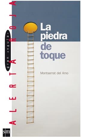 PIEDRA DE TOQUE, LA | 9788434852501 | AMO, MONTSERRAT DEL | Galatea Llibres | Librería online de Reus, Tarragona | Comprar libros en catalán y castellano online