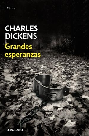 GRANDES ESPERANZAS | 9788483469880 | DICKENS, CHARLES | Galatea Llibres | Llibreria online de Reus, Tarragona | Comprar llibres en català i castellà online