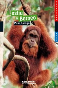 ESTIU A BORNEO, UN | 9788448921071 | GARRIGA, PILAR | Galatea Llibres | Llibreria online de Reus, Tarragona | Comprar llibres en català i castellà online
