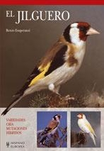 JILGUERO, EL | 9788425518713 | ESUPERANZI, ENZO | Galatea Llibres | Librería online de Reus, Tarragona | Comprar libros en catalán y castellano online