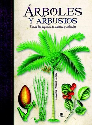 ARBOLES Y ARBUSTOS | 9788466224536 | PERISCO, LUCRECIA | Galatea Llibres | Llibreria online de Reus, Tarragona | Comprar llibres en català i castellà online