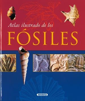 ATLAS ILUSTRADO DE LOS FOSILES | 9788430548712 | VARIOS AUTORES | Galatea Llibres | Librería online de Reus, Tarragona | Comprar libros en catalán y castellano online