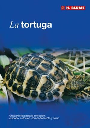 TORTUGA, LA | 9788489840881 | Galatea Llibres | Librería online de Reus, Tarragona | Comprar libros en catalán y castellano online