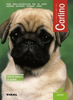 CARLINO | 9788499281674 | RICE, DAN | Galatea Llibres | Librería online de Reus, Tarragona | Comprar libros en catalán y castellano online