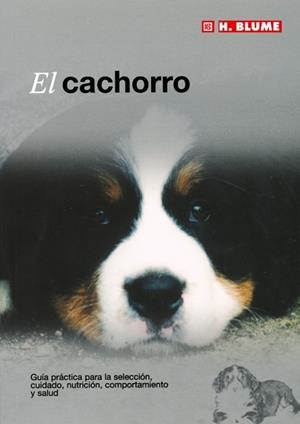 CACHORRO, EL | 9788489840898 | Galatea Llibres | Librería online de Reus, Tarragona | Comprar libros en catalán y castellano online