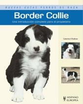 BORDER COLLIE | 9788425519475 | O'SULLIVAN, CATERINA | Galatea Llibres | Librería online de Reus, Tarragona | Comprar libros en catalán y castellano online