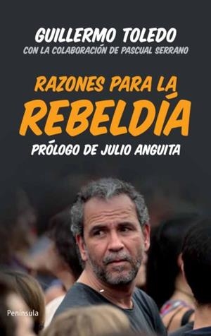RAZONES PARA LA REBELDÍA | 9788499421223 | TOLEDO, GUILLERMO | Galatea Llibres | Librería online de Reus, Tarragona | Comprar libros en catalán y castellano online