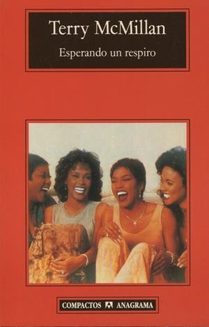 ESPERANDO UN RESPIRO | 9788433966650 | MCMILLAN, TERRY | Galatea Llibres | Llibreria online de Reus, Tarragona | Comprar llibres en català i castellà online