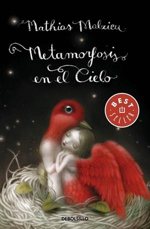 METAMORFOSIS EN EL CIELO | 9788490320457 | MALZIEU, MATHIAS | Galatea Llibres | Librería online de Reus, Tarragona | Comprar libros en catalán y castellano online
