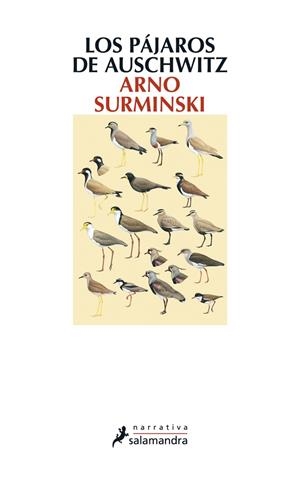 LOS PÁJAROS DE AUSCHWITZ | 9788498384987 | SURMINSKI, ARNO | Galatea Llibres | Llibreria online de Reus, Tarragona | Comprar llibres en català i castellà online