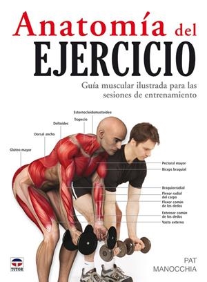 ANATOMIA DEL EJERCICIO. GUIA MUSCULAR ILUSTRADA SESIONES | 9788479027261 | MANOCCHIA, PAT | Galatea Llibres | Llibreria online de Reus, Tarragona | Comprar llibres en català i castellà online