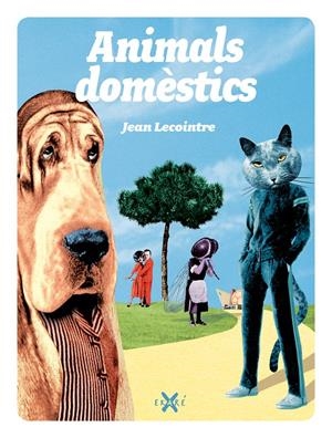 ANIMALS DOMÈSTICS | 9788493991265 | LACOINTRE, JEAN | Galatea Llibres | Llibreria online de Reus, Tarragona | Comprar llibres en català i castellà online