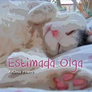ESTIMADA OLGA | 9788493878580 | MOLOERO, ANTONIA | Galatea Llibres | Librería online de Reus, Tarragona | Comprar libros en catalán y castellano online