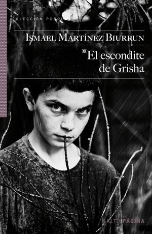 ESCONDITE DE GRISHA,EL | 9788415065173 | MARTINEZ BIURRUN,ISMAEL | Galatea Llibres | Librería online de Reus, Tarragona | Comprar libros en catalán y castellano online