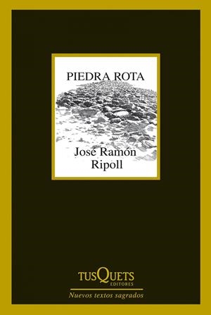 PIEDRA ROTA | 9788483834787 | RIPOLL, JOSE RAMON | Galatea Llibres | Llibreria online de Reus, Tarragona | Comprar llibres en català i castellà online