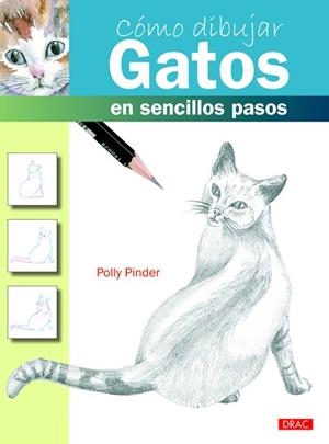 CÓMO DIBUJAR GATOS EN SENCILLOS PASOS | 9788498743197 | PINDER, POLLY | Galatea Llibres | Llibreria online de Reus, Tarragona | Comprar llibres en català i castellà online